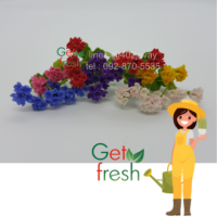 Get Fresh ดอกไม้ดินปั้น 10 ต้น ,ดอกไม้จิ๋ว ,ดอกเจลลาเนี่ยม ,  Miniature Clay Flower , Fake Flower ,  ขนาดวัดด้วยมือประมาณ 2.5 x 6 cm  เกรดสวยงานละเอียด