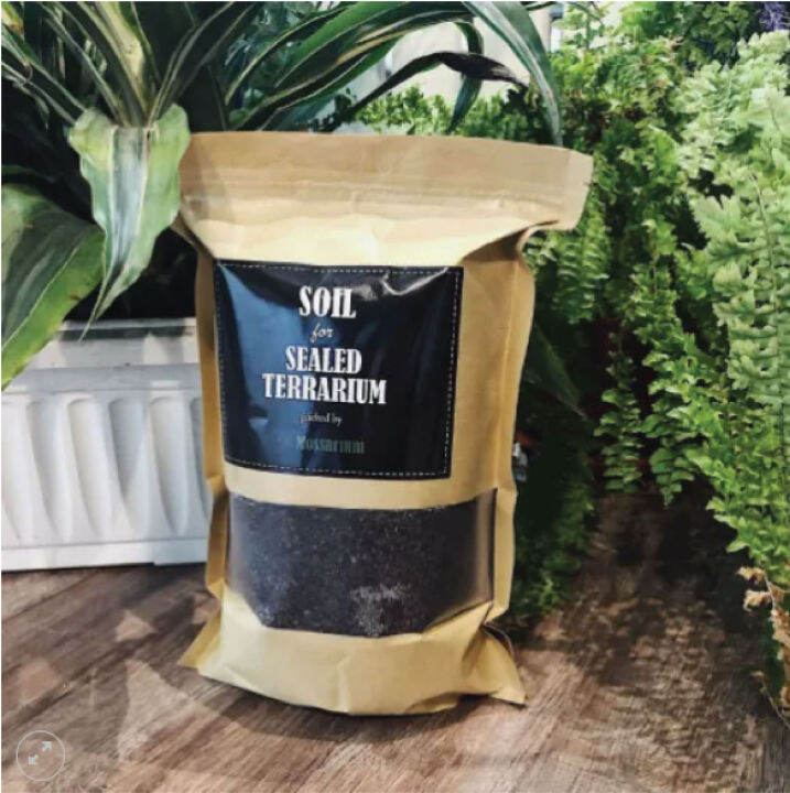 Terrarium Soil by Mossarium Lazada