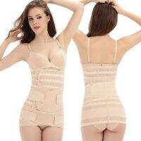 【cw】 1x Three-piece AbdomenPelvis PostpartumBody Recovery BellyAfter Childbirth Waist Delivery Corset