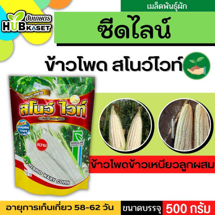 ซีดไลน์ 🇹🇭 ข้าวโพดข้าวเหนียว สโนว์ ไวท์ ขนาดบรรจุ 500 กรัม/ซอง