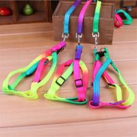 27s Colorful Rainbow Dog Collar Harness Leash Soft Walking Harness Lead Colorful and Durable Traction Rope Nylon 120cm