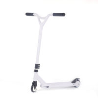 Spot parcel post Shengpu Cross-Border Two-Wheel Stunt Scooter Sports Limit Car Stunt Children Scooter