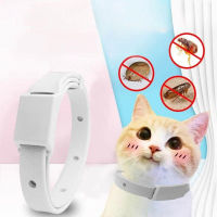 Anti Flea Tick Collar สำหรับแมวสุนัข8เดือนสุนัขขนาดเล็ก Antiparasitic Protection ปรับลูกสุนัข Kitten Collar Accessories