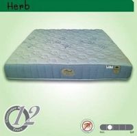 GOOD MATTRESS ที่นอนยางพารา HOME MATT 3.5 /5/6 ฟุต // MODEL : HERB ดีไซน์หรู สไตล์เกาหลี ยางพารา หุ้มผ้าขนนก คุณภาพสูง สินค้าขายดีมาก หนา 10 นิ้ว รับประกัน 12  ปี