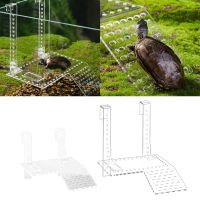 Basking Platform Floating Island Aquariums Island Climbings Ladder