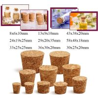 【CW】❒✼  5/100pc Top DIA 8mm To 58mm Lab Test Tube Stopper Kettle Pudding Bottle Cap Burette Wood Plug