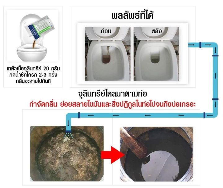 pico-หัวเชื้อจุลินทรีย์-กำจัดกลิ่นเหม็น-ใน-1-นาที-ย่อยสลายไขมัน-ชนิดผง-odor-extra-100-g-เฉลี่ยลิตรละ-2-25-บาท