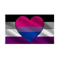 3x5 Ft Asexual Biromantic Pride Flag Biro Ace Bisexual Heart LGBT Bi Romantic Flags Pipe Fittings Accessories