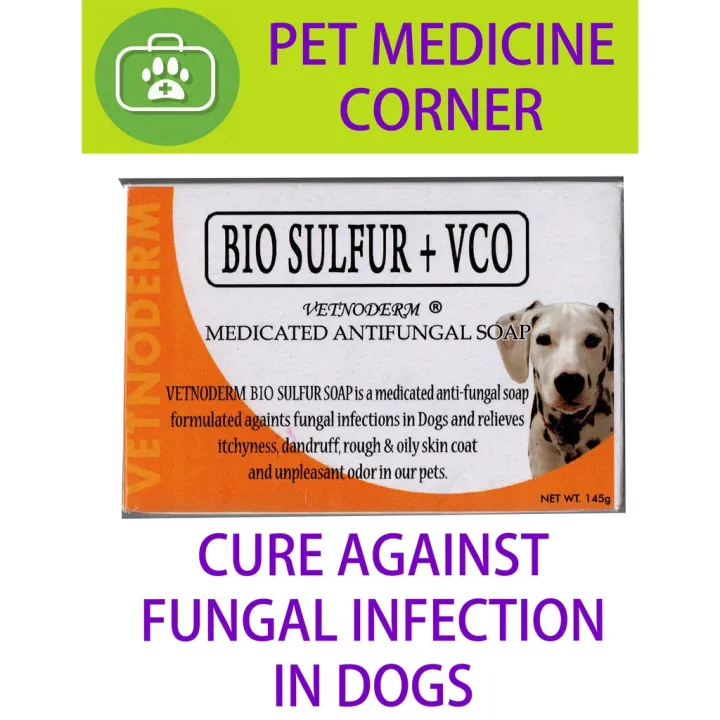 Vetnoderm Bio Sulfur soap for dogs (145g) Lazada PH
