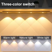 USB LED Night Light Motion Sensor Wireless Ultra Thin LED Wine cooler Light For Kitchen Cabinet Bedroom Wardrobe Indoor Lighting