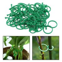 【YF】▦卍◆  50Pcs 8 Word Buckle Vine Tying Fixing Bracket Garden Holder Tools Decorations Climbing Wall