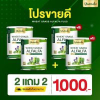 2 แถม 2 (4 กระปุก) วีทกราส อัลฟัลฟ่า พลัส ยูมิโกะ 200 กรัม Wheatgrass Alfalfa Plus by Yumiko 200 g.