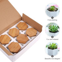 6Pcs In 1 Set Succulent Plant Pots Mini Succulent Planter เซรามิค (6 Pots และ6 Trays) กระถางดอกไม้ชาวไร่ไม้ไผ่