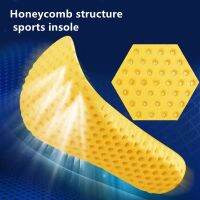 [HOT EXQQUZIOWGWD 116] 1คู่ Breathable Orthopedic Memory Foam Sport Insoles นวดนุ่ม Breathable ดูดซับเหงื่อ Unisex Feet Care รองเท้า Pad