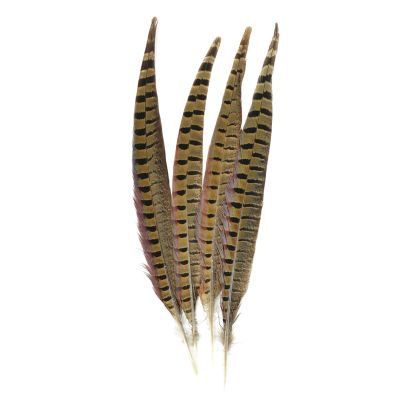 Touch of Nature Ringneck Pheasant Feathers 4/Pcs, Natural