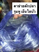 Fishing net มองดักปลา ดักปลาเอ็นใยบัว ลึก 20 ตา ป้าย 200 เมตร ตา 9/10/11/12 เซน ให้เลือก