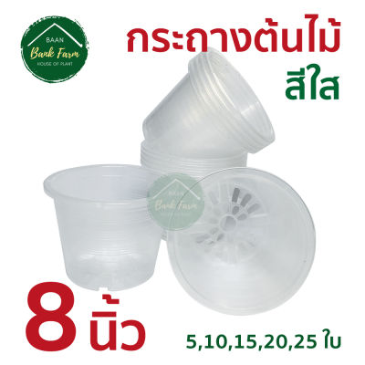 กระถาง8นิ้ว สีใส (5-25ใบ) ขนาดจริง 7.5 นิ้ว กระถางราคาถูก กระถางพลาสติก กระถางต้นไม้ l บ้านแบงค์ฟาร์ม