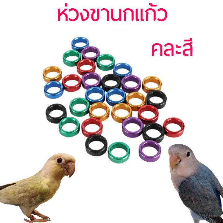 ห่วงขานกแก้ว-ห่วงขานก-ทำจากอลูมิดนียมน้ำหนักเบา-มี3ขนาดให้เลือก-คละสี-1ชิ้น-เหมาะสำรหรับนกจาดีน-พิราบ-เกรย์-อิเล็คตัส-มาคอว์-กะตั้วใหญ่-nbsp