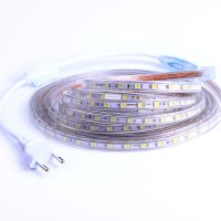 เทปไฟ LED กันน้ำ SMD 5050 AC220V แถบไฟ Led ยืดหยุ่น60 LED/m RGB LED พร้อมปลั๊กไฟ1M/2M/3M/5M/6M/10M/15M/25M