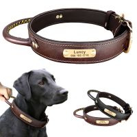 【CW】 Soft Custom Leather Dog Collar Personalized Pet ID Tag Collar With Handle Engraved Nameplate For Medium Large Dogs Adjustable