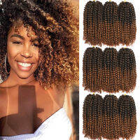 ผมสั้นสังเคราะห์สไตล์ Passion Twist Marlybob ผมสีน้ำตาลธรรมชาติ Marlybob โครเชต์ผม Kinky Curly สำหรับผู้หญิงผิวดำ