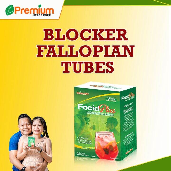 Focid Plus w/ Folic Acid, Hirap mabuntis supplement Paragis for