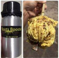 น้ำยาเร่งราก คุณภาพสูง ROOTS BOOSTER /250ml