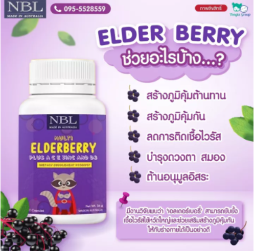 nbl-dha-amp-nbl-calcium-amp-nbl-elderberry-dhaบำรุงสมอง-วิตามินสำหรับเด็ก-อาหารเสริมเด็ก-วิตามินเด็ก-บำรุงสมอง-เจริญอาหาร