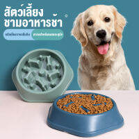 สัตว์เลี้ยงกินช้าเพื่อป้องกันการสําลักชาม