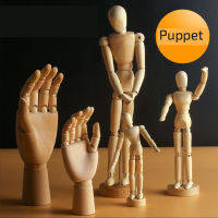 Drawing Wooden Pup Model Sketch Painting Small Wooden Hand Flexible Movable Wooden Man Art Imitation Human Body Proportion