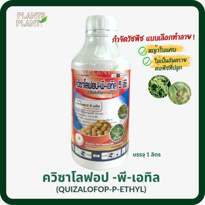 ควิซาโลฟอป-พี-เทฟูริล-1l-quizalofop-p-tefuryl-สารกำจัดหญ้าใบแคบในพืชใบกว้าง-ใช้กำจัดหญ้านกสีชมพู-หญ้าข้าวนก-หญ้าปากควาย-หญ้าขจรจบ-หญ้าตีนกา