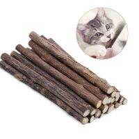 5Pcs/Pack Pure Natural Catnip Pet Cat Toy Safety Molar Toothpaste Branch Cleaning Teeth Cat Snacks Sticks Pet Supplies Catnip Toys