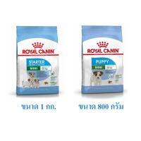 อาหารสุนัขเม็ด Royal Canin Mini Starter 1 กิโลกรัม และ Puppy Mini 800 กรัม