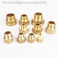 1/8 1/4 3/8 1/2 3/4 BSP Female To Male Thread Connection Brass Pipe Fitting Adapter Coupler Connector For Fuel Gas Water