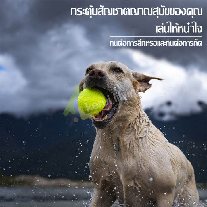 ลูกบอล-บอลยาง-ของเล่นหมา-dog-ball-toy-ของเล่นขัดฟัน-ลูกบอลยางกัด-บอลหมา-ของเล่นสุนัข-ของเล่นสัตว์เลี้ยง-ทนทานต่อการกัด-บอลโยนสุนัข-มี-2-ขนาด