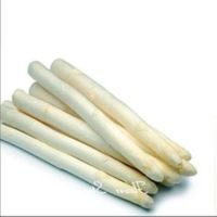 11 เมล็ดพันธุ์ หน่อไม้ฝรั่ง White Asparagus seed. มีคู่มือพร้อมปลูก อัตรางอกสูง 80-85%