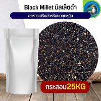 สุดยอด Black Millet มิลเล็ตดำ อาหารนก กระต่าย หนู กระต่าย กระรอก ชูก้า และสัตว์ฟันแทะ (กระสอบ 25KG)