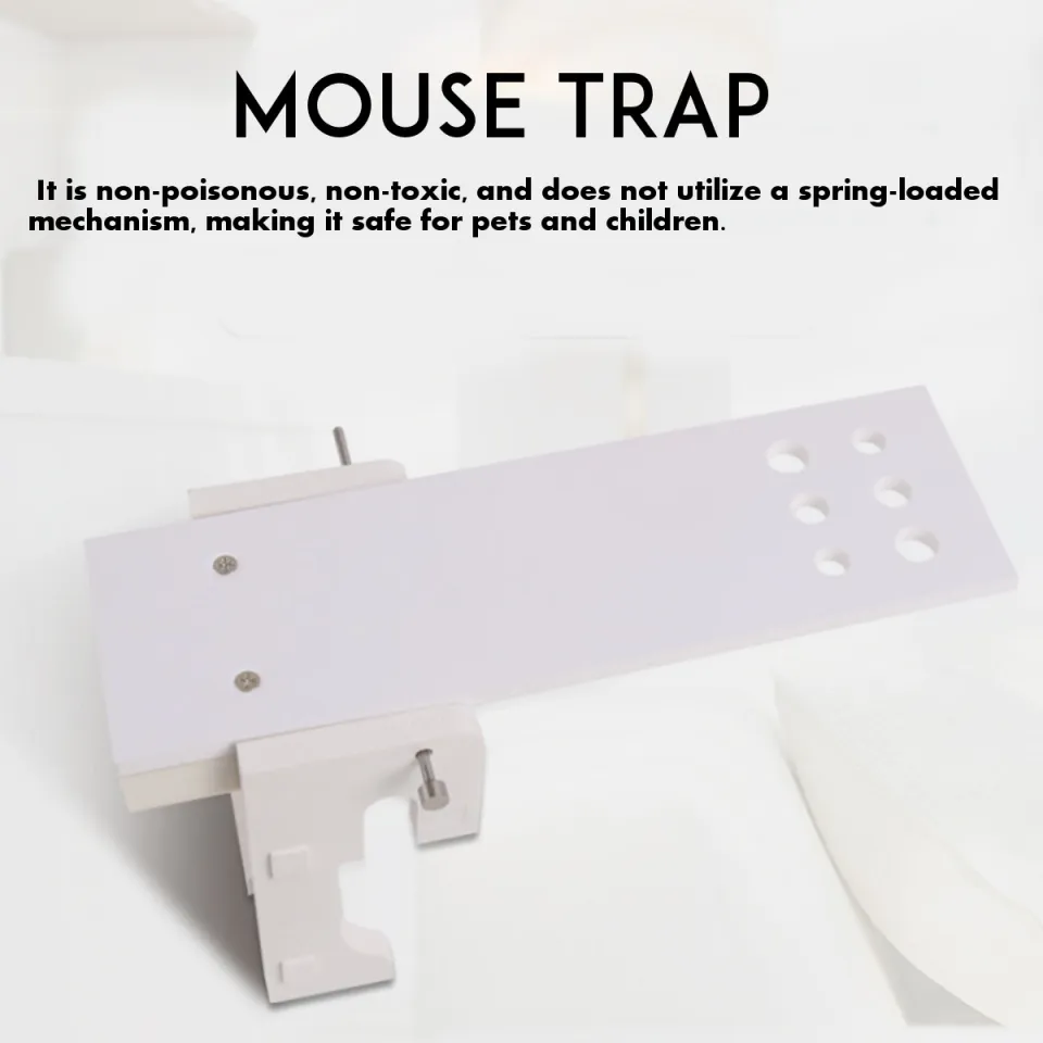 Walk The Plank Mouse Trap Bucket Rats Trap with Baits Spoon - China Walk  The Plank Mouse Trap and Walk The Plank Rats Catcher price