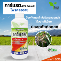 การ์แรต 1 ลิตร โซตัส โพรคลอราซ 45% EW ป้องกันและกำจัดโรคช่อดอกดำ ได้อย่างดีเยี่ยม "ปลอดภัยต่อดอก"