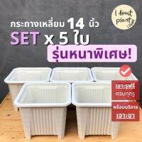 ✨ SET กระถางเหลี่ยม เนื้อหนาพิเศษ ยกสูง ขนาด 14 นิ้ว (ใส่ซุ้มได้) x 5 | Square Pot 14 Inch กระถางกุหลาบ ไม้ประดับ ไม้ใบ Rose / Foliage Planter