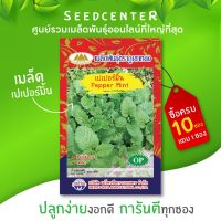 ซื้อ 1 แถม 1，50 เมล็ด (ไม่ใช่พืช)เมล็ดเปเปอร์มิ้น ขนาด