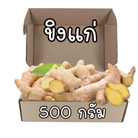 ขิงแก่ พร้อมส่ง 500 กรัม สินค้าชุมชน ปลูกโดยชาวบ้าน สะอาดปลอดภัย ไร้สารพิษ