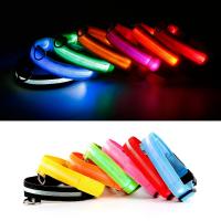 Nylon LED Pet Dog CollarNight Safety Flashing Glow In The Dark Dog Leash Dogs Luminous Fluorescent Collars Pet Supplies Tools