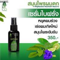 ?สินค้าขายดี? ถูกที่สุด เซรั่มปลูกผมที่ดีที่สุด เซรั่มใบฝรั่งเข้มข้น ปลูกผมดก  หยุดผมร่วง  เร่งผมเกิดใหม่ ชลอผมหงอก ขนาด100ML.