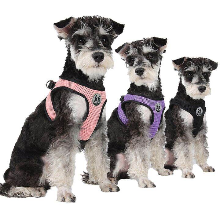 yf-breathable-safety-pet-dog-harness-and-leash-set-for-small-medium-dogs-cat-harnesses-vest-puppy-chest-strap-pug-chihuahua-bulldog