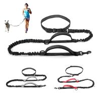 Reflective Leash Traction Rope Pet Dog Running Belt for Pet Outdoor Walking 2N1 Hand Free Waist Belt Chest Strap Traction Rope Collars