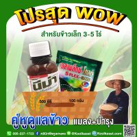 ชุดกำจัดแมลง บำรุง ช่วงข้าวเล็ก3-5ไร่ ป้องกันและกำจัดเพลี้ยกระโดด เพลี้ยไฟ บำรุงข้าวแข็งแรง กระตุ้นการแตกกอ คูลเกษตร