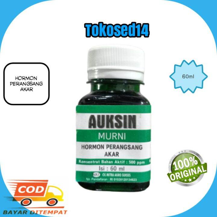 Auksin Murni Hormon Perangsang Akar Tanaman Auksin 60 Ml Auxin Auksin ...