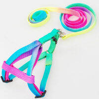 1PC สัตว์เลี้ยงสุนัข Leash Harness ไนลอน Rainbow ขนาดเล็กลูกสุนัขลูกแมวสายจูง Walk Out สายคล้องมือเสื้อกั๊กสำหรับแมวกระต่าย-sdfwerwewewq