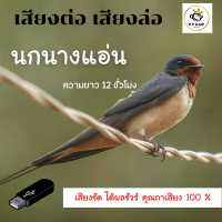 MP3 เสียงเรียกนกนางแอ่น 12 ชม * CD-MP3 , USB-MP3*